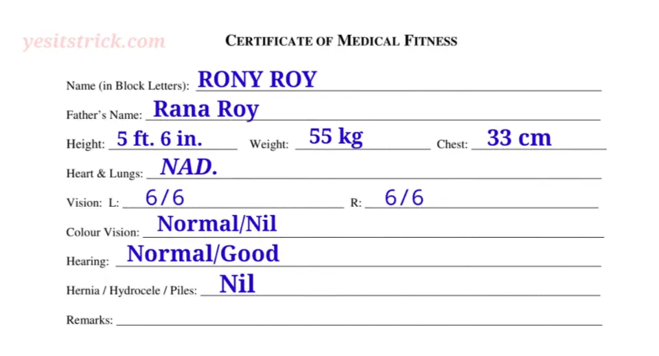 medical fitness certificate pdf